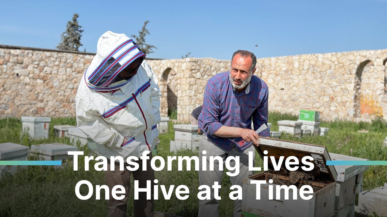 Transforming Lives, One Hive at a Time